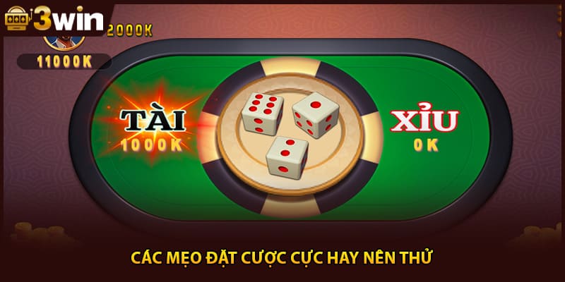 Các mẹo đặt cược cực hay nên thử