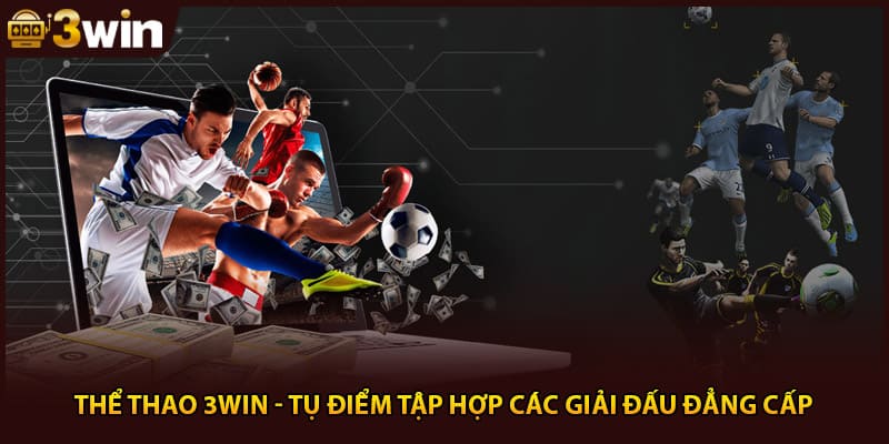 Thể Thao 3Win - Tụ Điểm Tập Hợp Các Giải Đấu Đẳng Cấp
